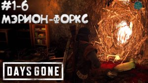 Days Gone #1-6 ➤ Зараженная зона в Мэрион-Форкс