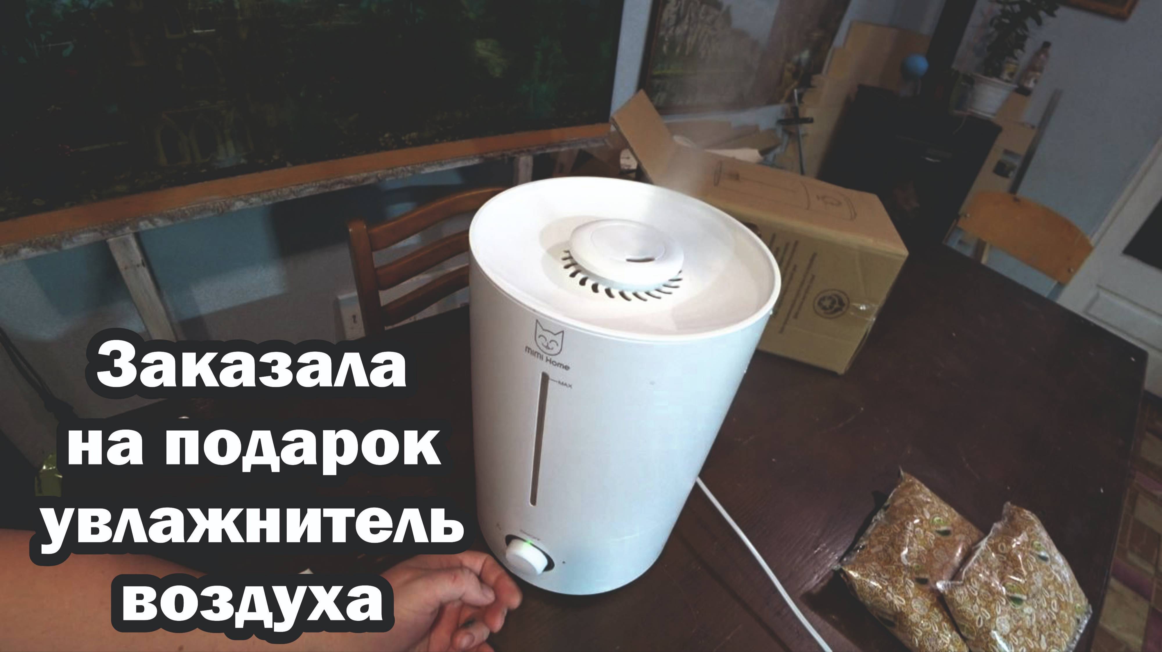 Обзор покупок с маркетплейсов: ремень, кубики игральные, семена тыквы, семена горчицы, увлажнитель