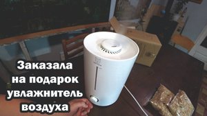 Обзор покупок с маркетплейсов: ремень, кубики игральные, семена тыквы, семена горчицы, увлажнитель