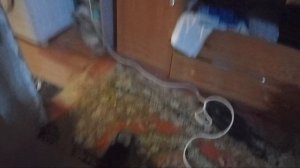 разбираю недоместо