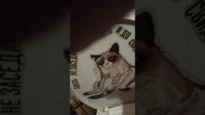 игра ( машины)