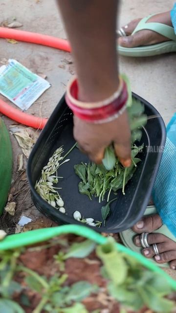 Mini garden ❤️#youtubeshorts #garden смотреть онлайн