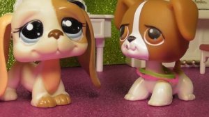 LPS сериал Дикарка 2 серия