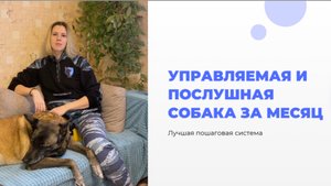 Лучший способ сделать собаку управляемой и послушной за месяц (пошаговая система)
