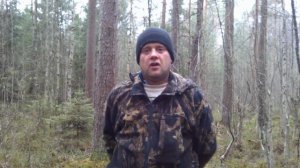 Разговор по теме, отменят ли нам пенсию в будущем или нет, будет ли блогеру в старости пенсия,