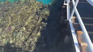 ПУТЕШЕСТВИЕ В ШАРМ-ЭЛЬ-ШЕЙХ ЧЕРЕЗ МОСКВУ | SUNRISE ARABIAN BEACH RESORT 5* | ЕГИПЕТ В МАРТЕ