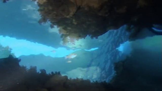 Diving in Damnoni Bay, Southern Crete - Greece смотреть онлайн