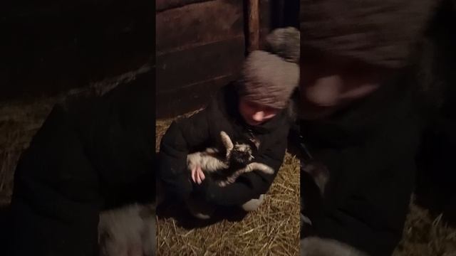 VID_20250308_185545