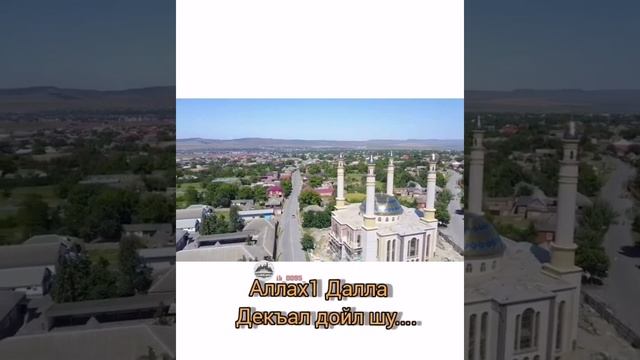 Сердце ПСЕДАХА смотреть онлайн