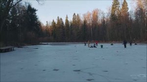 Поимки форели до и после запуска. Клёвое место, Лосиный остров, верхий водоём.