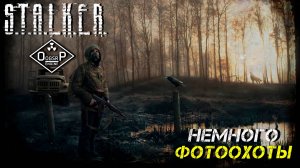 НЕМНОГО ФОТООХОТЫ ➤ S.T.A.L.K.E.R. ОП 2 OGSR ENGINE #27