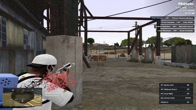 сайги