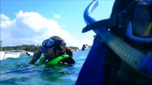 Snorkeling at Balicasag Island in Panglao, Bohol