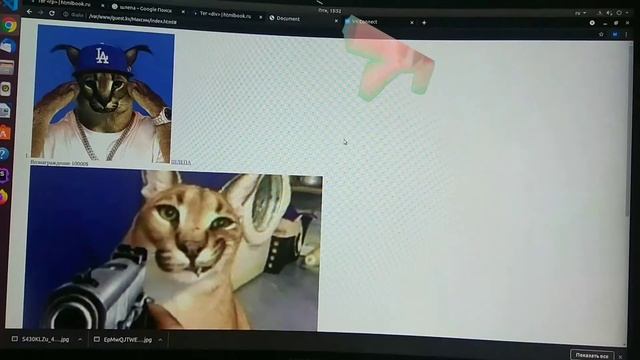 РОЗЫСК/ШЛЁПА И FLOPA/ смотреть онлайн