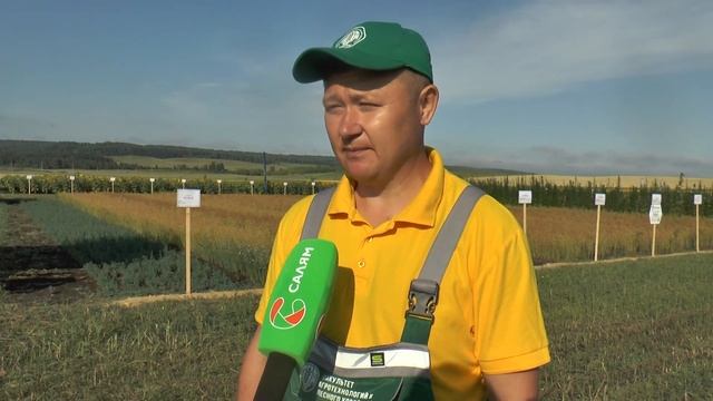 День поля 2021 в Альшеевском районе смотреть онлайн