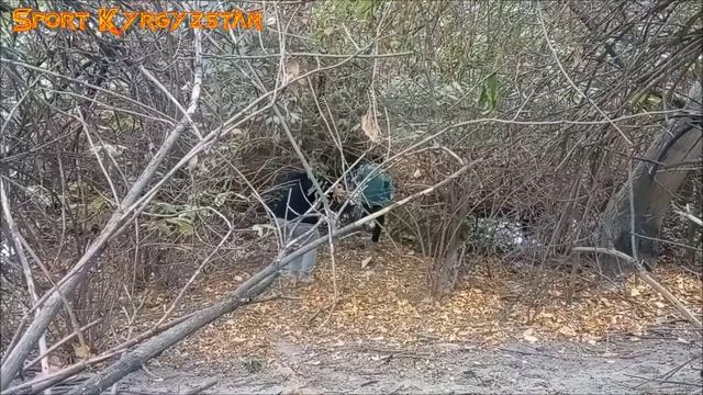 Спортивное ориентирование. Первенство Бишкека 2022 смотреть онлайн