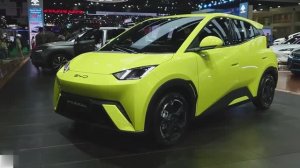 2025 BYD Seagull Micro Electric Vehicle