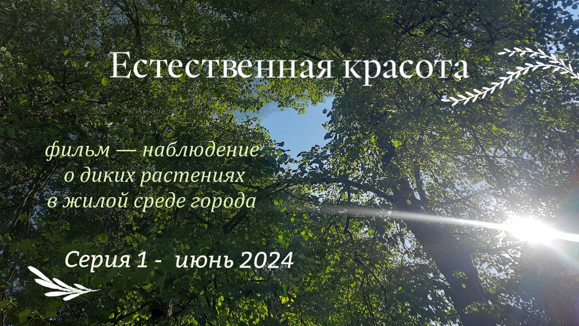 Естественная красота. Серия первая. Июнь.
