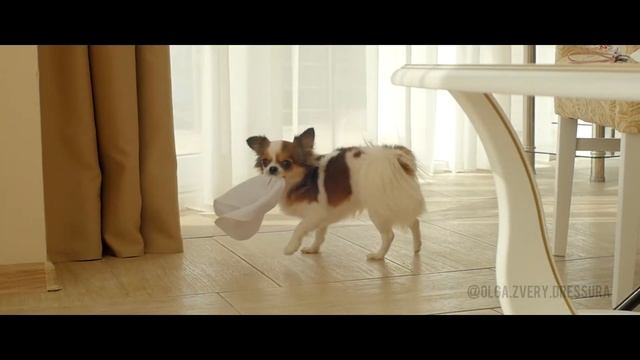 Если отдых, то только с Bona Fide!) смотреть онлайн