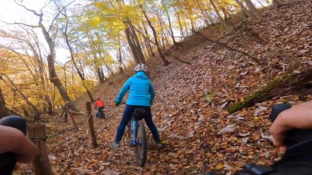 グラベル紅葉トレイル 下りパート/Salsa Fargo, Salsa Warbird,  Surly Midnight Special смотреть онлайн