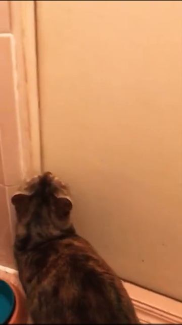 Закрытая дверь? Не для меня... смотреть онлайн