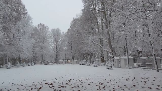 Снег воспоминание Загреб