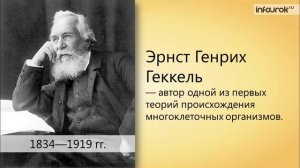 9. Подцарство Многоклеточные животные