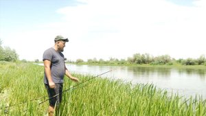 Караси дуреют! На кукурузу с коноплей наловил ведро карасей!