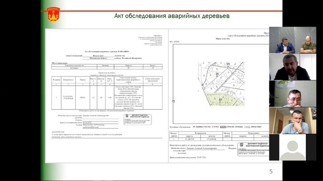 Вебинар "Аварийные деревья и их уборка" смотреть онлайн