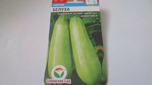 Кабачок  Белуха  Семена