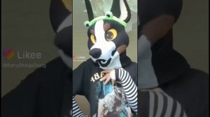 Драконы из лайка и рапторы тоже из Лайка  😄⚡️