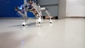 RX01, Робот на сервомашинках MG90S, Ардуино Нано робот