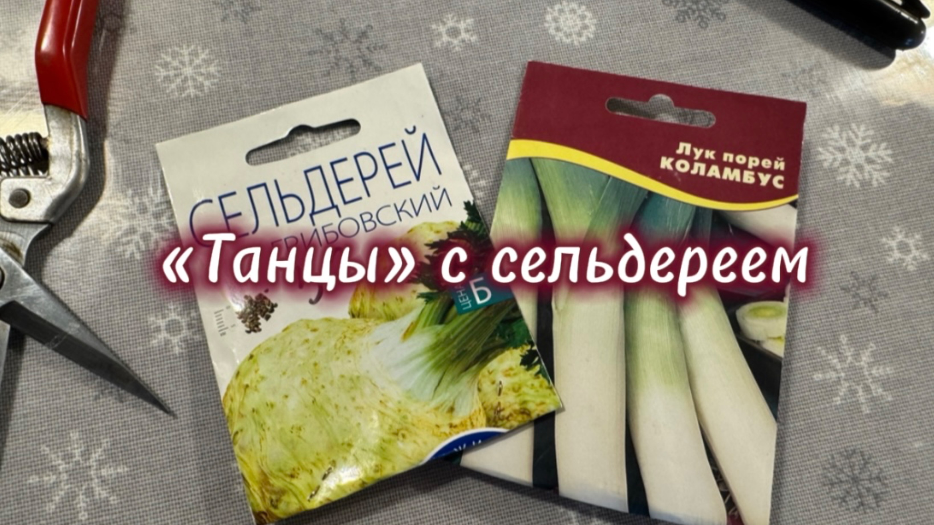 Время от посева до всходов. Кто быстрее порей или сельдерей?