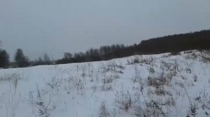 Троицкие борки