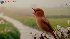 Spring Awakening (Весеннее пробуждение)