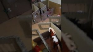 реакция лошадей на новенькую. перекрас подделки шляйх)🐴