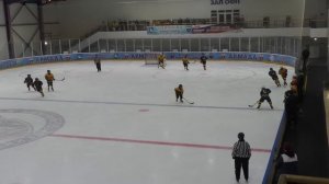 Открытое первенство Московской области по хоккею среди девушек