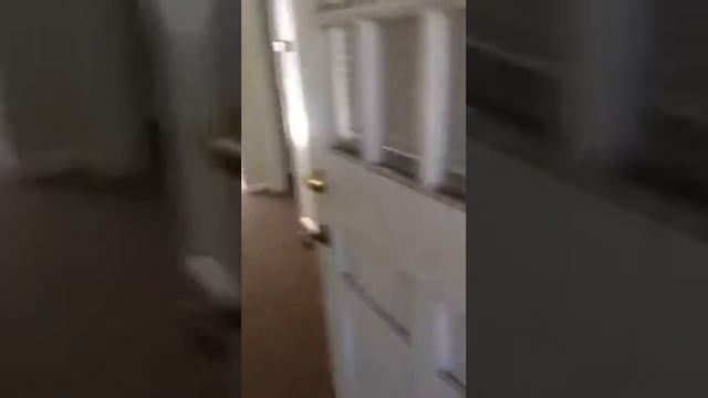 1623 s 1200 e move in inspection смотреть онлайн