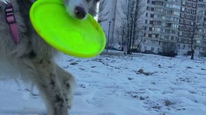 БК Рокси - роллы в короткой разметке