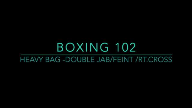 Rapid Boxing: Novice to Pro (Series 2)