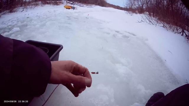 Сегодня порыбачил на Старице🎣 Клев хороший, рыба ловилась активно👍 Рыбачил на мормышку 2,0 мм.