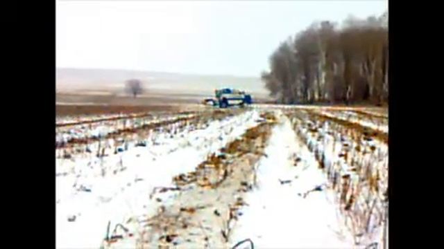 Уборка урожая в декабре.wmv смотреть онлайн