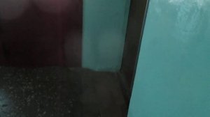 Лифты КМЗ 1985 г., V=1 м/с, Q=320-500 кг (33)