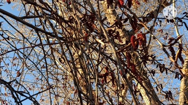 Кристина Мотиватор..Оля Брендовна.Гены рулят