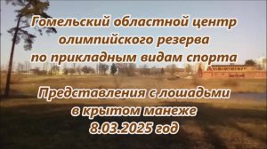 Гомель. Представления с лошадьми