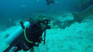 Mexico - Scubadiving in Paradise!