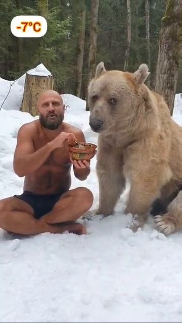 кормлю медведя