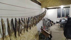 Вяленая чехонь.