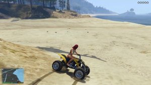 GTA 5 FIVE STAR COP BATTLE at PALETO BAY BEACH + POLICE CHASE, Police Shootout (GTA V Funny Moments