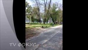 Гидропарк. Венецианский остров. Прогулка по Гидропарку. Киев.  Украина. 3.05.2019 г.